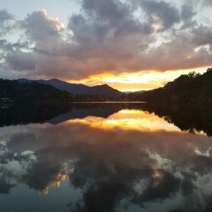 Meet your Posher, Elias